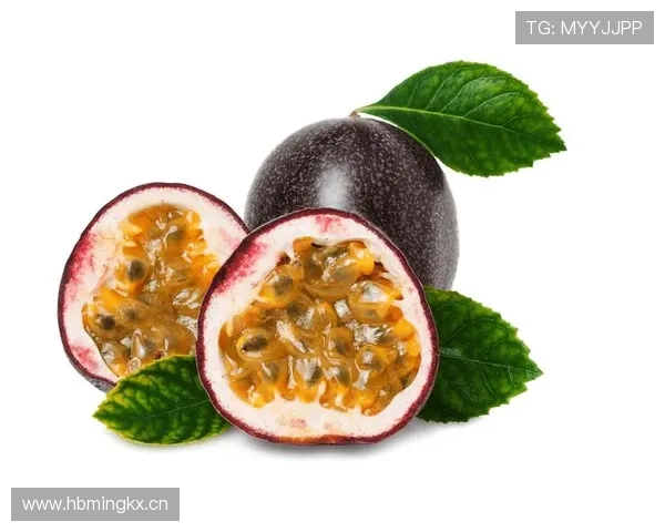 开元体育app手机版入口官方推荐的登录方式与使用体验优化建议